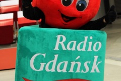 11.11.2012 ATOM Trefl Sopot – PPTS Piła