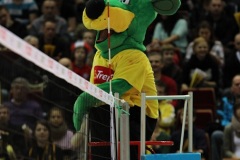 18.01.2013 LOTOS Trefl Gdańsk – AZS Politechnika Warszawska