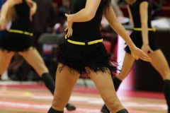 26.01.2013 Trefl Sopot-Rosa Radom