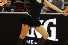 26.01.2013 Trefl Sopot-Rosa Radom