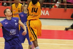 17.02.2013 Trefl Sopot - Anwil Włocławek