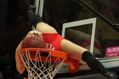 17.02.2013 Trefl Sopot - Anwil Włocławek