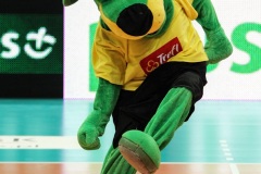 17.03.2013 LOTOS Trefl Gdańsk - PGE Skra Bełchatów