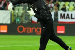 14.08.2013 Polska-Dania