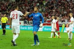 14.08.2013 Polska-Dania