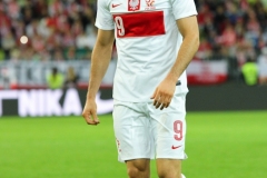 14.08.2013 Polska-Dania