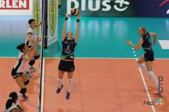 26.03.2014 ATOM Trefl Sopot - Beef Master Budowlani Łódź