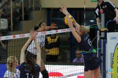 26.03.2014 ATOM Trefl Sopot - Beef Master Budowlani Łódź