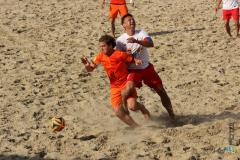 28.06.2014 Polska-Holandia