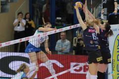 09.11.2014 PGE Atom Trefl - TAURON Banimex MKS