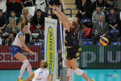 09.11.2014 PGE Atom Trefl - TAURON Banimex MKS