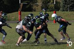 15.08.2015 Wikingowie Gdańsk vs. Griffons Słupsk