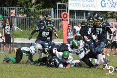 15.08.2015 Wikingowie Gdańsk vs. Griffons Słupsk