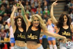 31.10.2015 PGE Atom Trefl Sopot – Polski Cukier Muszynianka