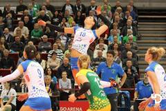 31.10.2015 PGE Atom Trefl Sopot – Polski Cukier Muszynianka