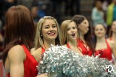 3.11.2015 LOTOS Trefl Gdańsk – Vojvodina NS Seme Nowy Sad