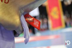 2016.01.18 Euro2016 Dania - Czarnogóra