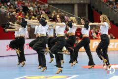 2016.01.18 Euro2016 Rosja - Węgry