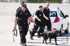 Atak Terrorystów na Ergo Arene