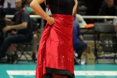 CEV Polska - Francja 2013