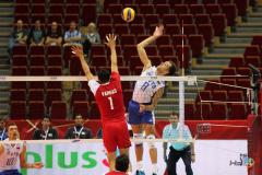 FIVB Rosja-Meksyk 2014