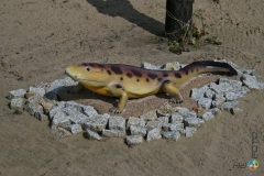 Łeba – Park Dinozaurów