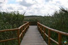 Łeba – Park Dinozaurów