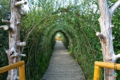 Łeba – Park Dinozaurów