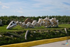 Łeba – Park Dinozaurów