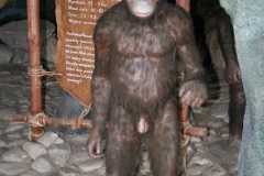 Łeba – Park Dinozaurów