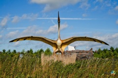 Łeba – Park Dinozaurów