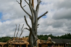 Łeba – Park Dinozaurów