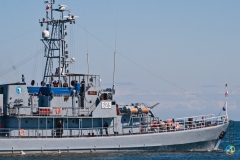 Parada Marynarki Wojennej