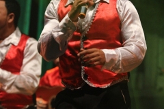 Pasion de Buena Vista 2013