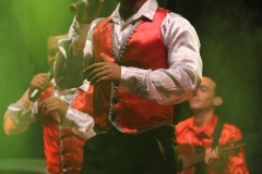 Pasion de Buena Vista 2013
