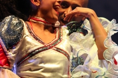 Pasion de Buena Vista 2013