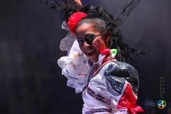 Pasion de Buena Vista 2013