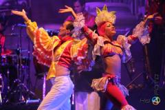 Pasion de Buena Vista 2013