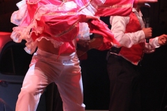 Pasion de Buena Vista 2013
