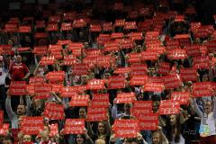 Piłka Ręczna Polska-Szwecja 2013