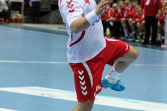 Piłka Ręczna Polska-Szwecja 2013