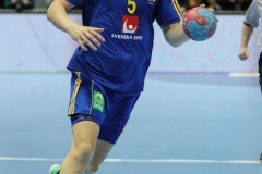 Piłka Ręczna Polska-Szwecja 2013