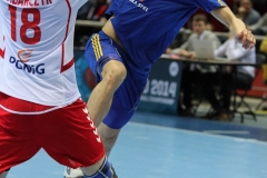 Piłka Ręczna Polska-Szwecja 2013