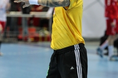 Piłka Ręczna Polska-Szwecja 2013