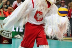 Polska-Argentyna 2013