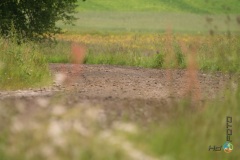 Rajd Lotos Baltic CUP 2009