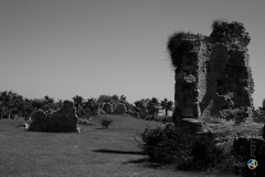 Wakacje 2009 – Turcja